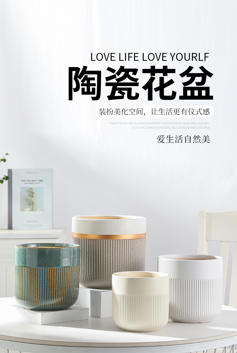 北欧陶瓷花盆轻奢高级感家用客厅兰花绿植大号发财树蝴蝶兰盆栽欣详情2