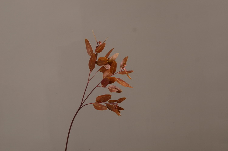 Dongli Flower Industry, the original manufacturer, offers direct sales of green plants in stock, wholesale of artificial leaves, round leaves with fruits, eucalyptus leaves, eucalyptus leaves, and one-piece consignment pic 33