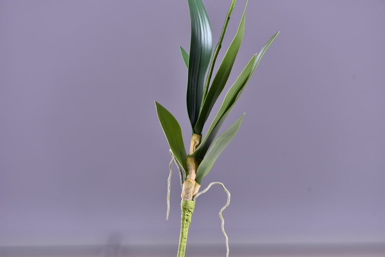 Factory direct sales of high-end artificial dendrobium, wholesale of artificial flowers with leaves, home decoration of Phalaenopsis and Lanjin artificial plants pic 30