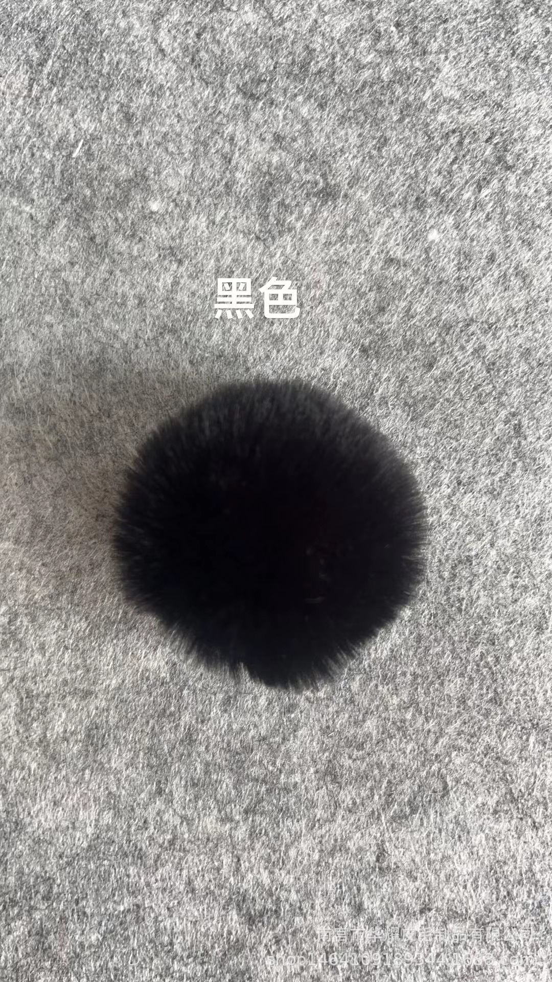 微信图片_20230419152944