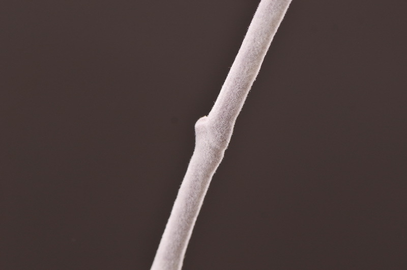 Dongli Flower Industry Factory Direct sales, wholesale of artificial flowers and fake flowers, 2-fork-scented green leaves, home decoration sample rooms, photography fake flower ornaments, one-piece consignment pic 17