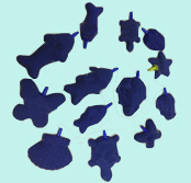 Aquarium and fish tank oxygenation accessories in various styles and sizes, aerated stone AS series manufacturer wholesale pic 19