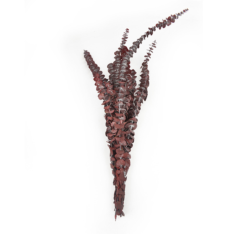 尤加利叶 批发圣诞节礼物花材铜钱桉永生苹果叶家居装饰                                  详情3