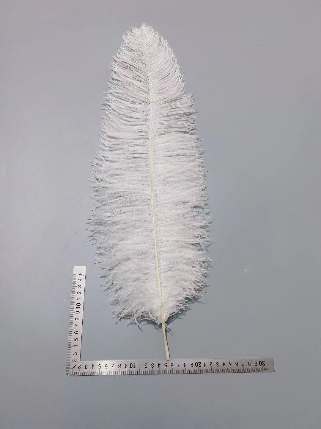 460ba2231e31c4ed2d88f8d762b18d