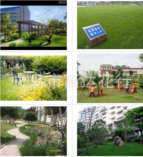 Artificial putting green grass, artificial football grass, artificial turf, artificial grass, special grass for kindergartens, and leisure grass pic 26