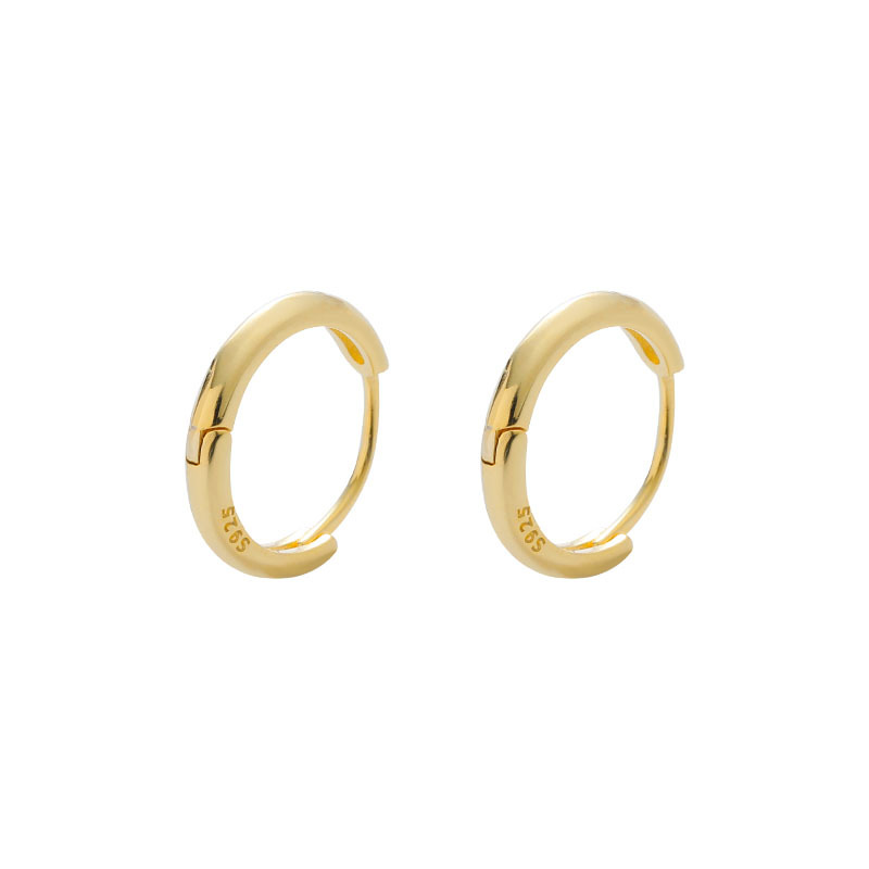 s925 silver ear buckles wholesale, feminine Korean earrings, 2023 new trendy ear bone nails, ear bone rings, trendy pic 6