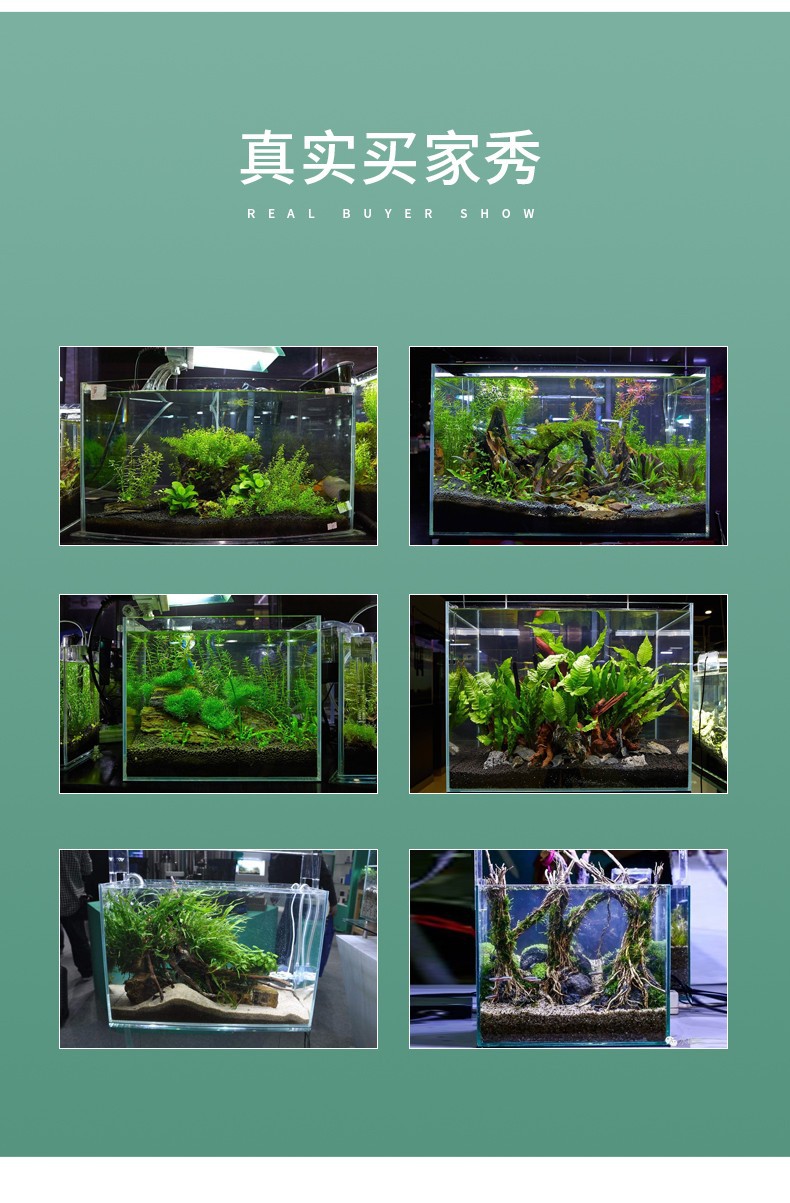 yee Fish Tank ecological desktop water plant landscaping, home ornamental fish, ultra-white glass small living room glass tank wholesale pic 18