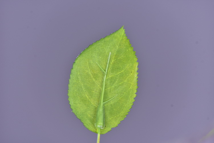 Wholesale of artificial apple branches, multi-leaf home decoration fruit branches, new Chinese-style New Year decoration berries from the manufacturer pic 30