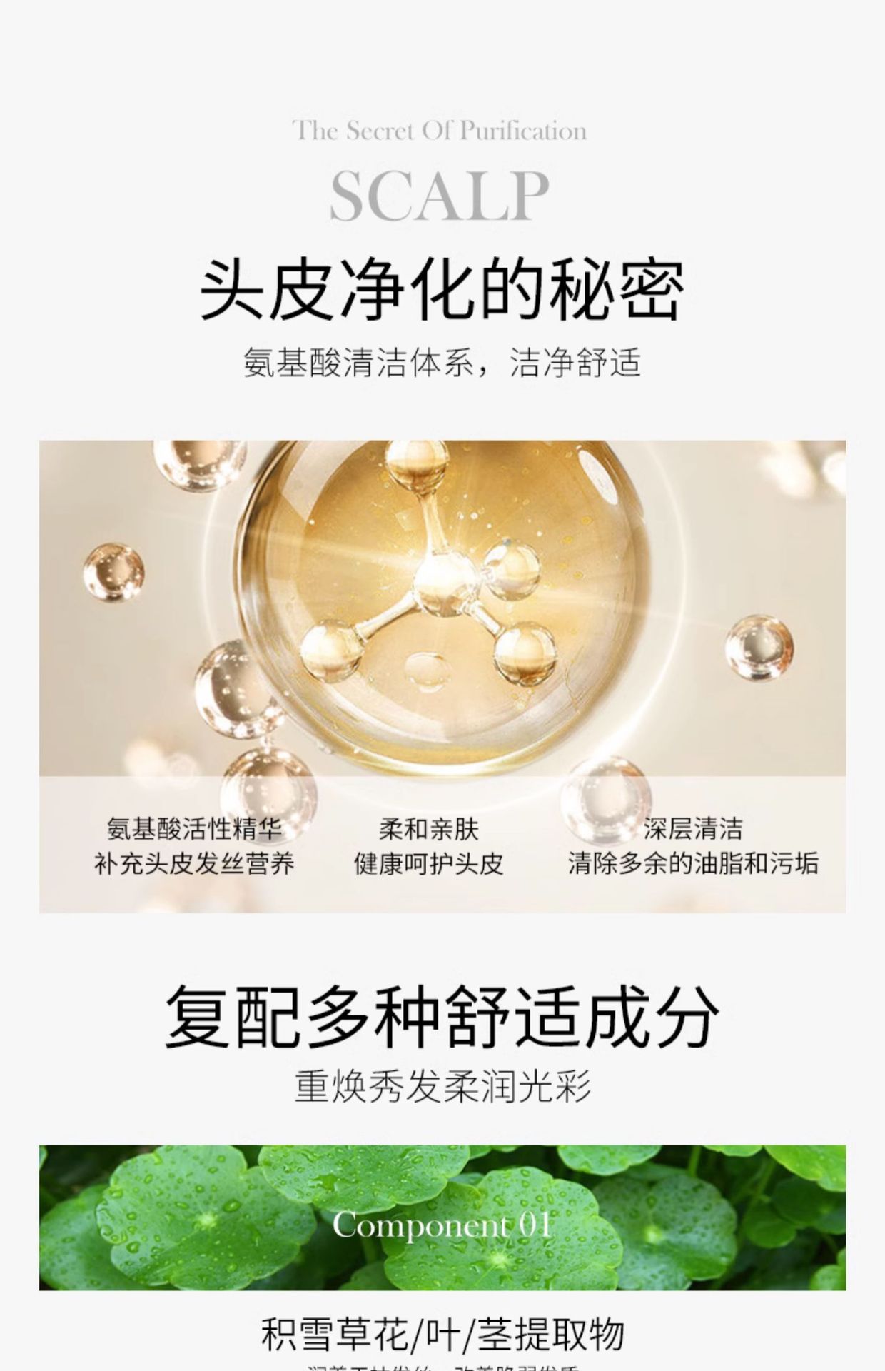 万千美氨基酸洗發水护发素套装蓬松沐浴露滋润控油去屑洗头膏批发详情14