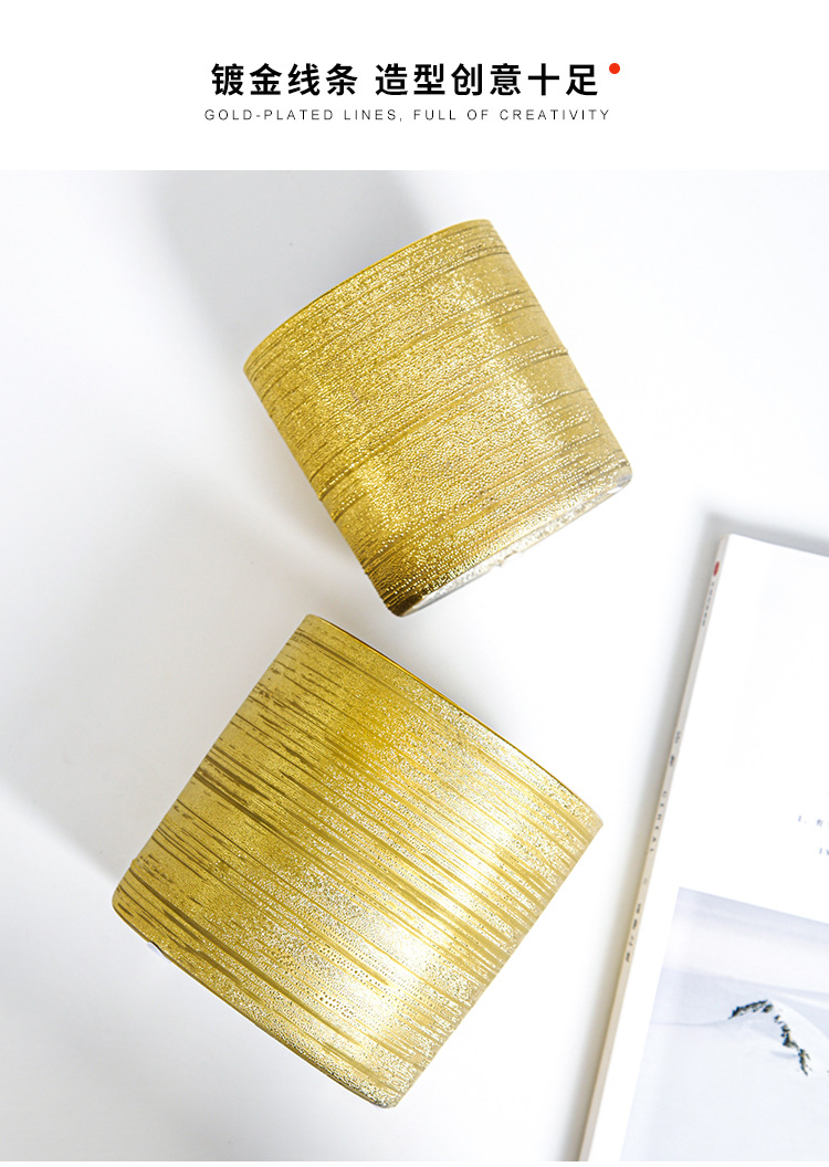 Chinagoods Du Qi Hotel supplies: European-style simple and creative ceramic brushed, gold-plated and silver succulent combination export flower POTS, handicrafts and flower vases pic 6