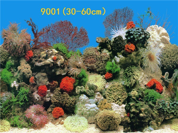 Wholesale export of 50cm high background painting, single-sided thin painting, 3D stereoscopic ecological aquarium sticker paper pic 32