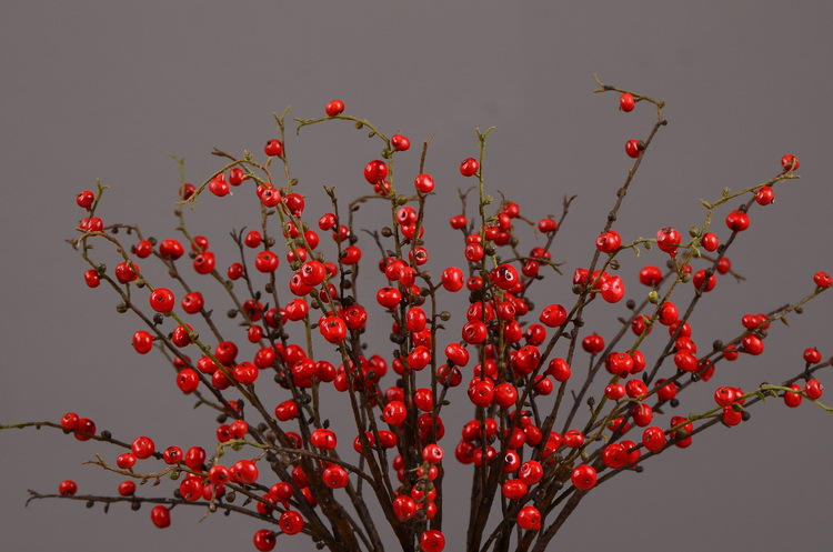 Artificial rosehip, artificial plant fruit, berry, American decorative floral arrangement materials, photography props pic 10