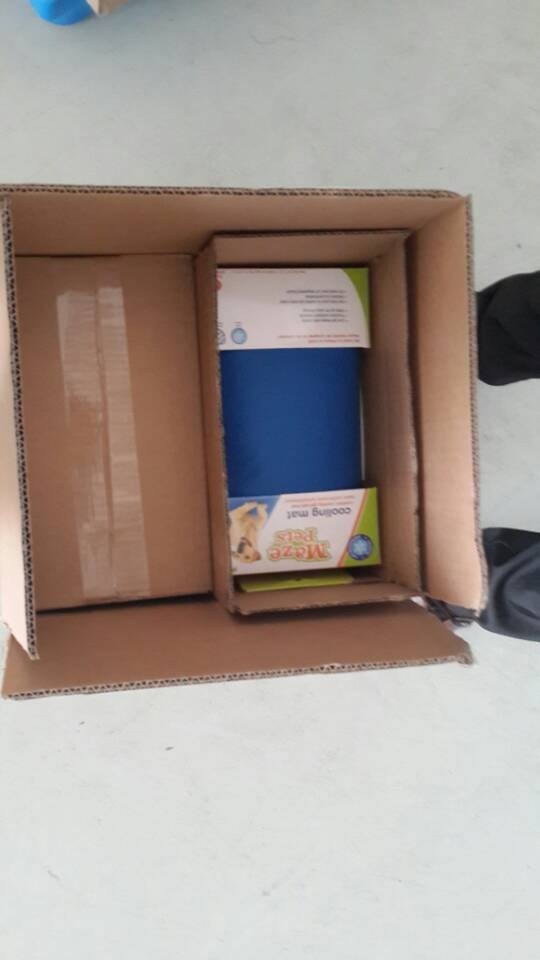 Factory direct sales of pet ice pads, teddy bed beds, cooling pads, pet ice pads and sponge pads pic 19