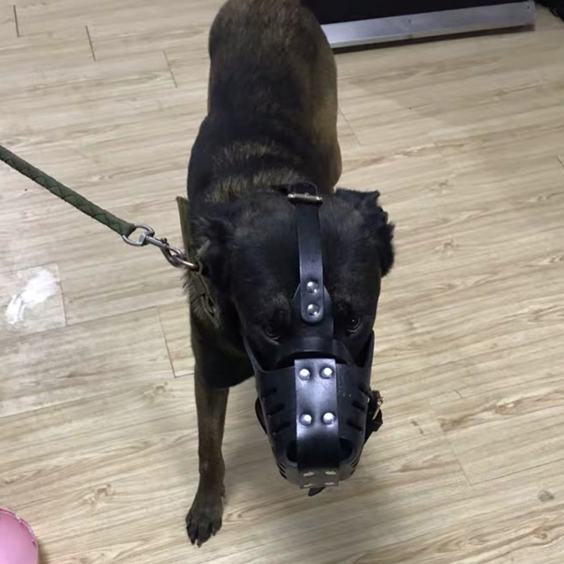 批发牛皮狗嘴套德牧马犬嘴套训犬防撞击狗口笼宠物用品详情13