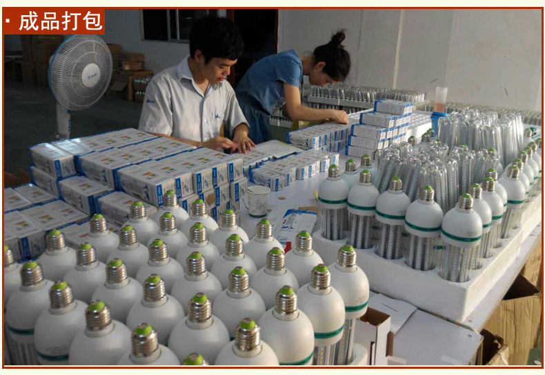 Lithium iron phosphate battery bulbs 3.2V, 6.4V, 9.6V, LED corn lamps, solar system light sources 10W, 20W, 7W pic 4