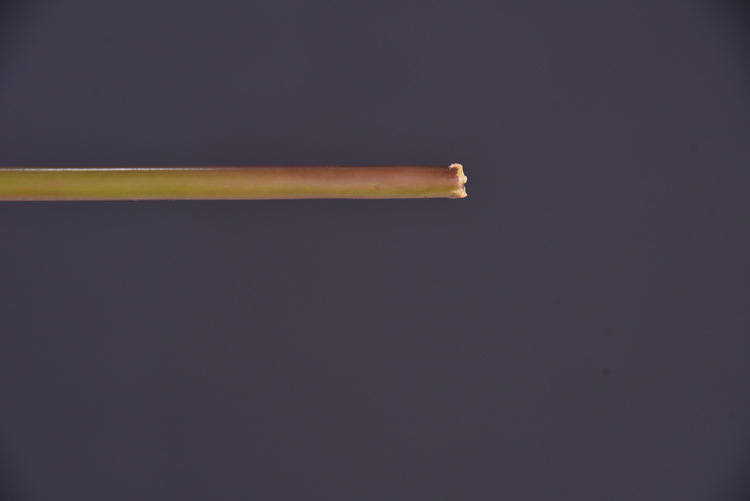 Factory direct sales of high-end artificial dahlia with realistic touch, wholesale of high-end artificial dahlia for home decoration, shopping malls and hotels pic 13