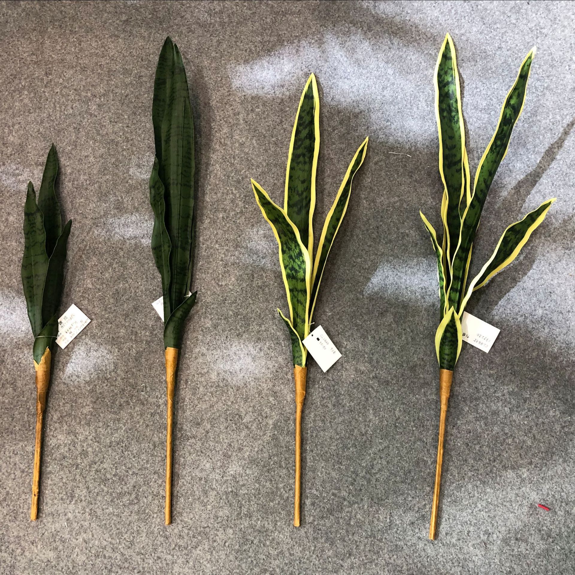 Simulated tiger skin lily, desert plant, simulated agave, single tiger skin lily, yellow-edged tiger skin lily, Phalaenopsis leaves pic 5