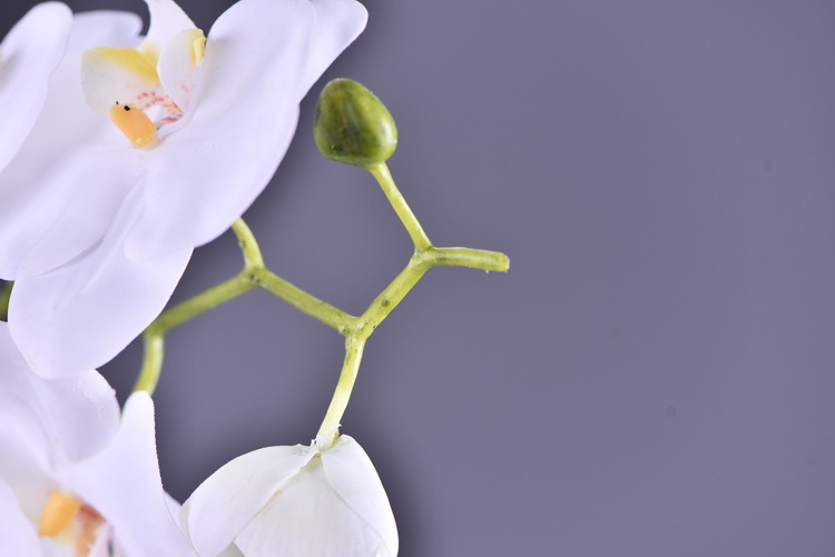 Factory supply of simulated Phalaenopsis, modern, simple and light luxury decoration, artificial flower touch, Phalaenopsis hand-painted soft decoration ornaments pic 6