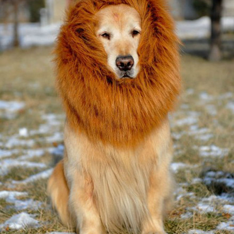 Pet headgear, winter warm and comfortable dog headwear, Halloween pet lion head wig, pet wig supplies pic 1