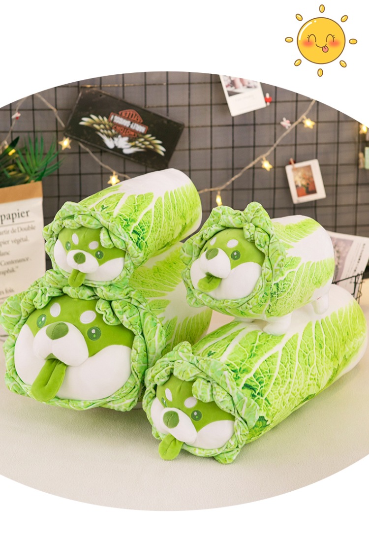 Wholesale of creative cartoon vegetable dog dolls, cabbage dog cushions and plush toys of the same style as those on Xiaohongshu pic 17