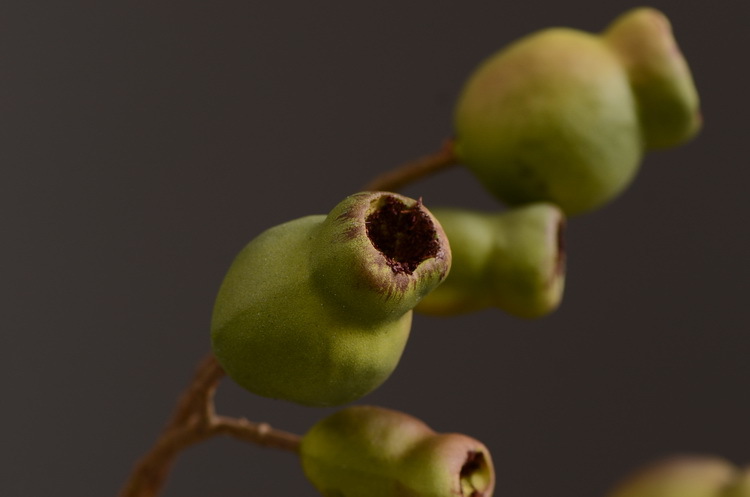 Dongli Flower Industry, the original manufacturer, is now wholeselling vintage decorative pipe fruit artificial flowers, artificial flowers, table flowers, artificial berries, zombie fruits, eucalyptus fruits, and offers one-piece consignment pic 10