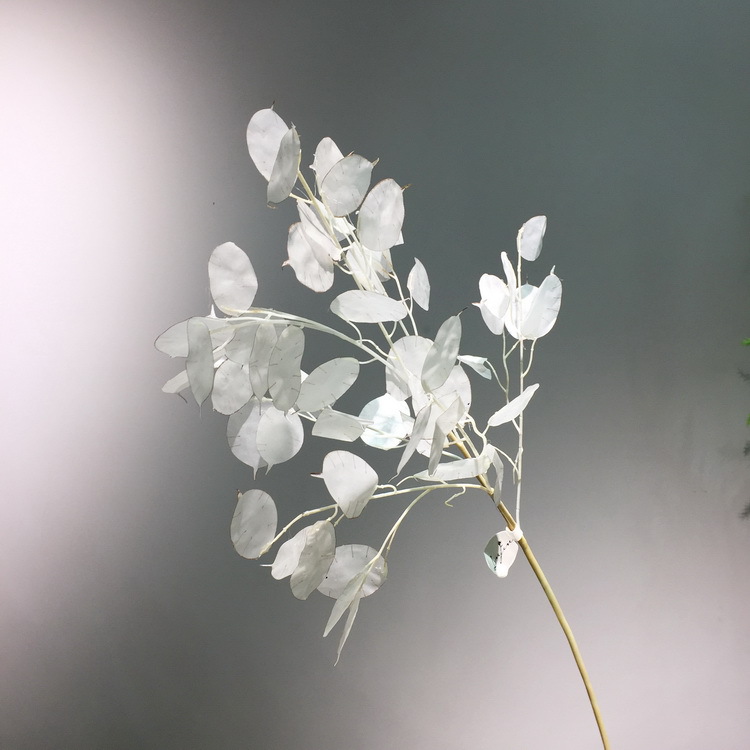 【 Factory Direct Sales Wholesale 】 Dongli offers direct supply of living room home decoration artificial dried flowers wholesale and artificial silver fan leaves in stock pic 6