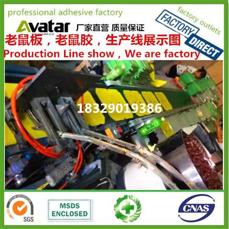 源头厂家直销MOUSE& RAT GLUE PLANK绿板中号 小号 大号老鼠板 粘鼠板 灭鼠胶详情6