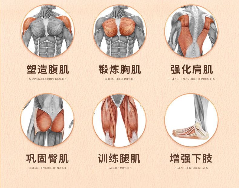 自动回弹肘撑健腹轮男女收腹卷腹运动练腹肌神器家用卷腹健身器材详情7