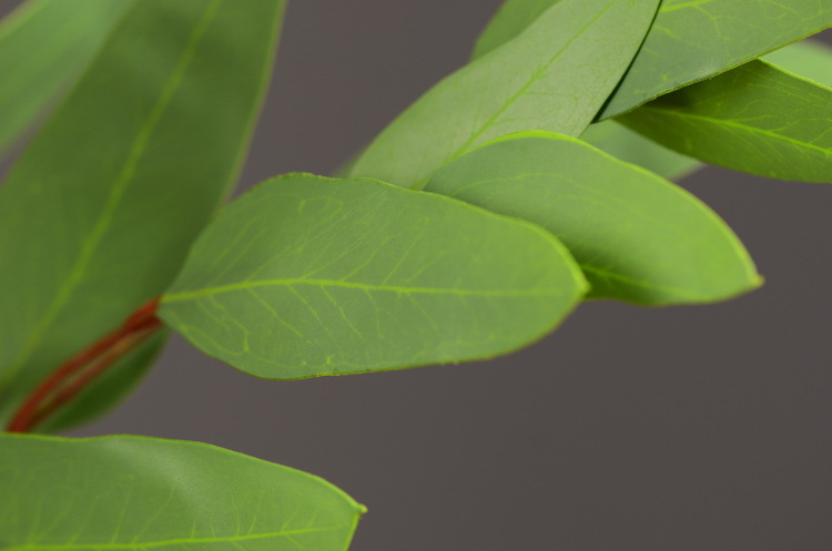 Dongli Flower Industry, the original manufacturer, offers direct sales of green plants in stock, wholesale of artificial leaves, round leaves with fruits, eucalyptus leaves, eucalyptus leaves, and one-piece consignment pic 29