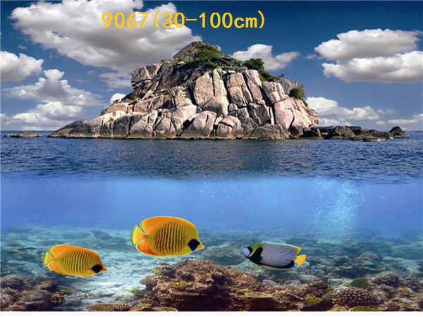 Wholesale production of 60cm high single-sided thin paintings, various ecological aquarium background paintings. Craft paintings. Aquarium equipment pic 74