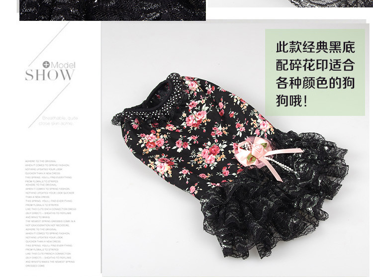 Summer new cool and cute dog dress, fashionable lace small floral cat dress pic 10