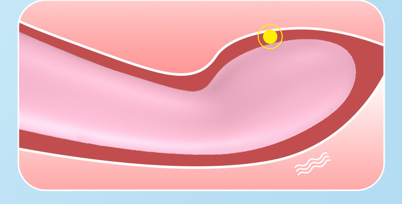 新款女用假阳具女性变频震动按摩棒外贸巴勒斯坦成人情趣性用品 震动棒GZJHB2128详情6