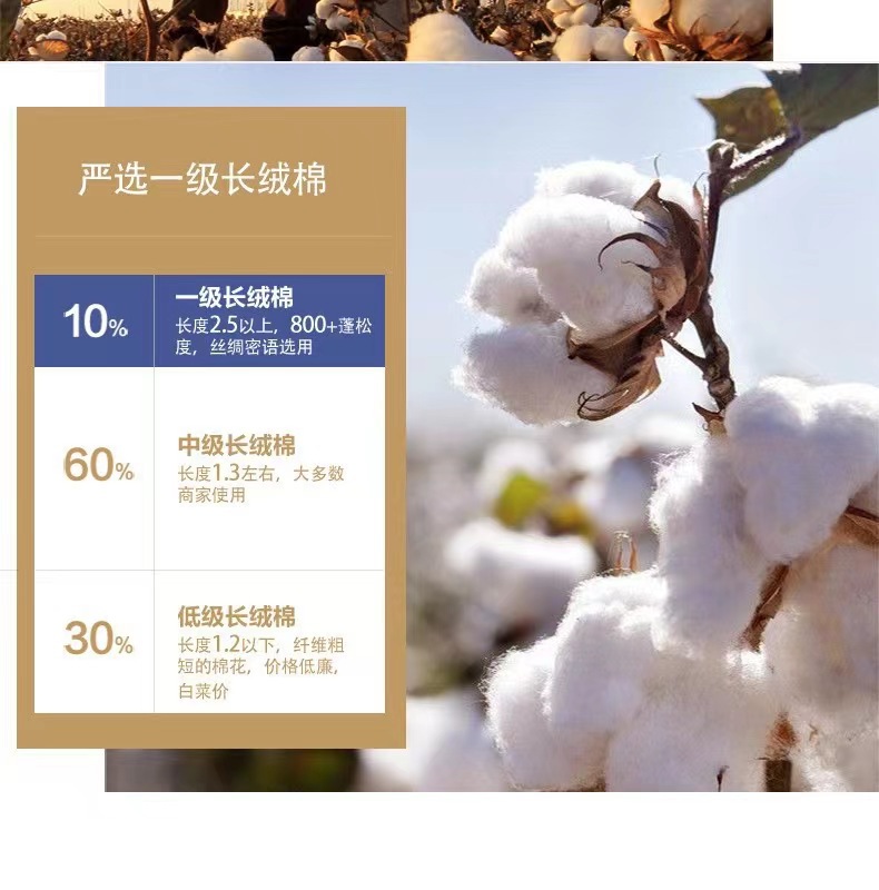 Early spring pure cotton fashionable casual set for women, loose, sporty and slimming straight-leg high-waisted wide-leg pants, zipper hooded jacket pic 11