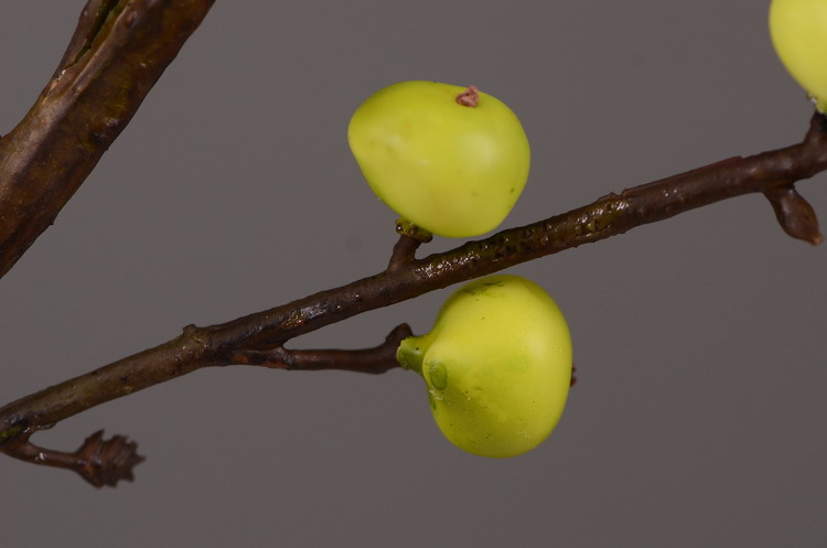 Artificial rosehip, artificial plant fruit, berry, American decorative floral arrangement materials, photography props pic 31