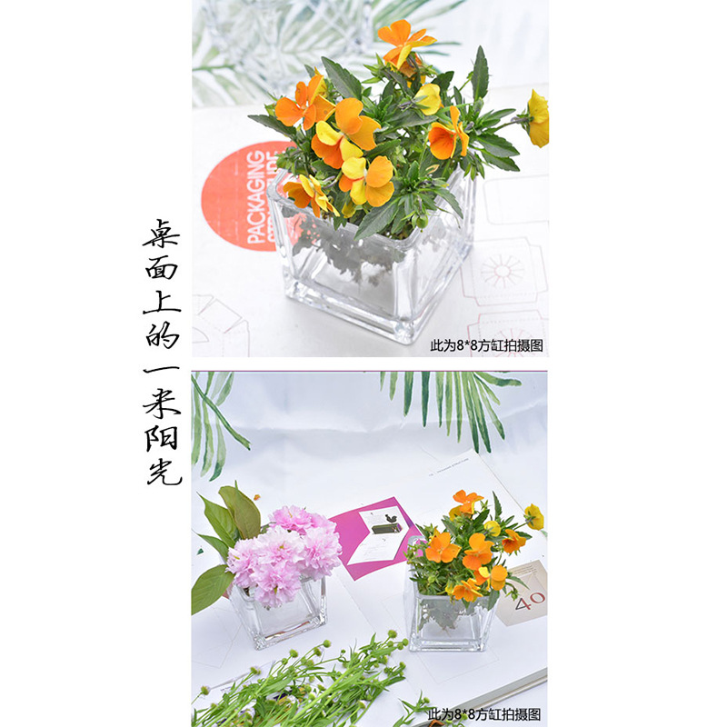 微信图片_20200624170507