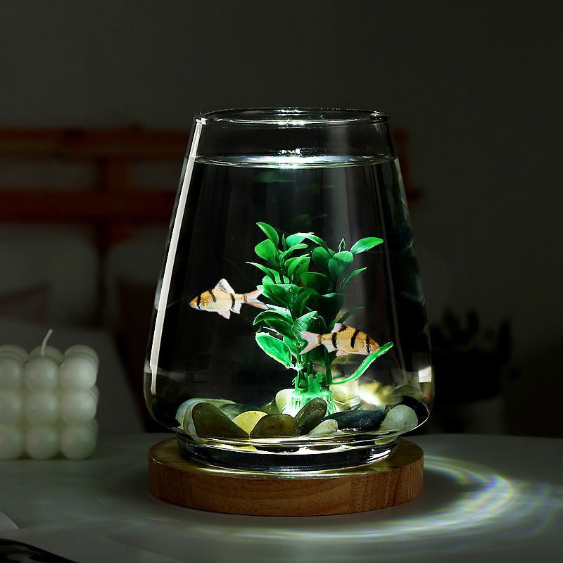 仓鼠粮五谷粮食金丝熊主粮营养饲料杂粮面包虫小物用品批发跨境详情3