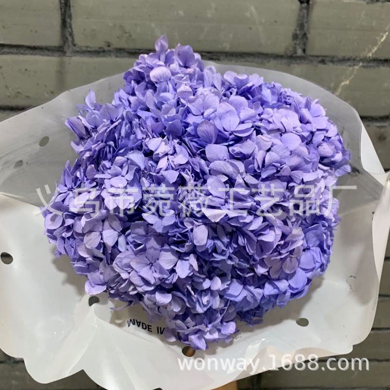 Natural plant, evergreen, large-leaf hydrangea, flower arrangement, handicrafts, soft furnishing grass pic 8