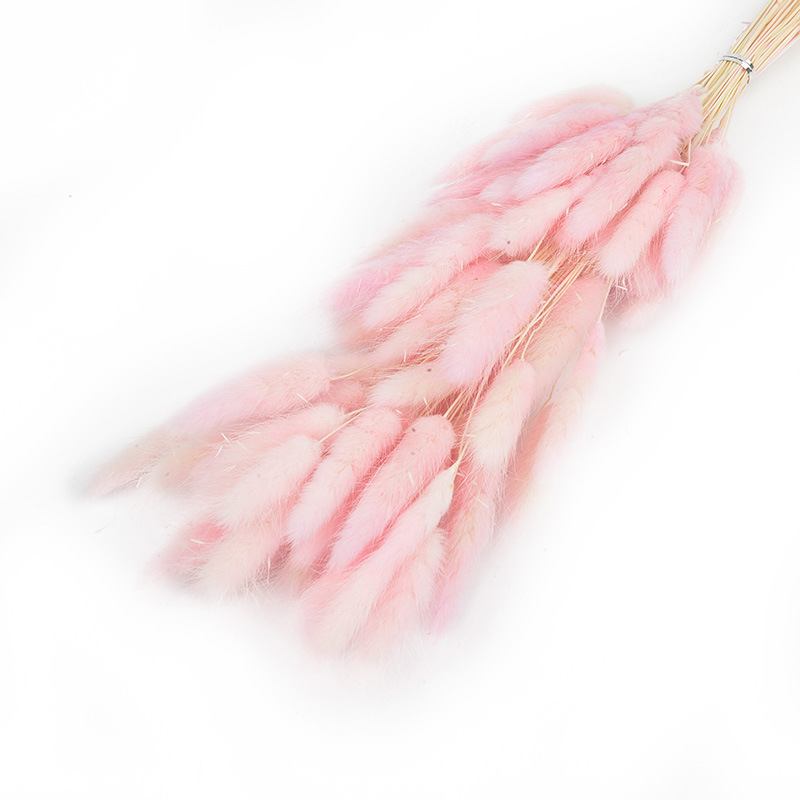 兔尾草干花真花永生花满天星干花花束批发家居装饰插花拍摄道具                               详情12