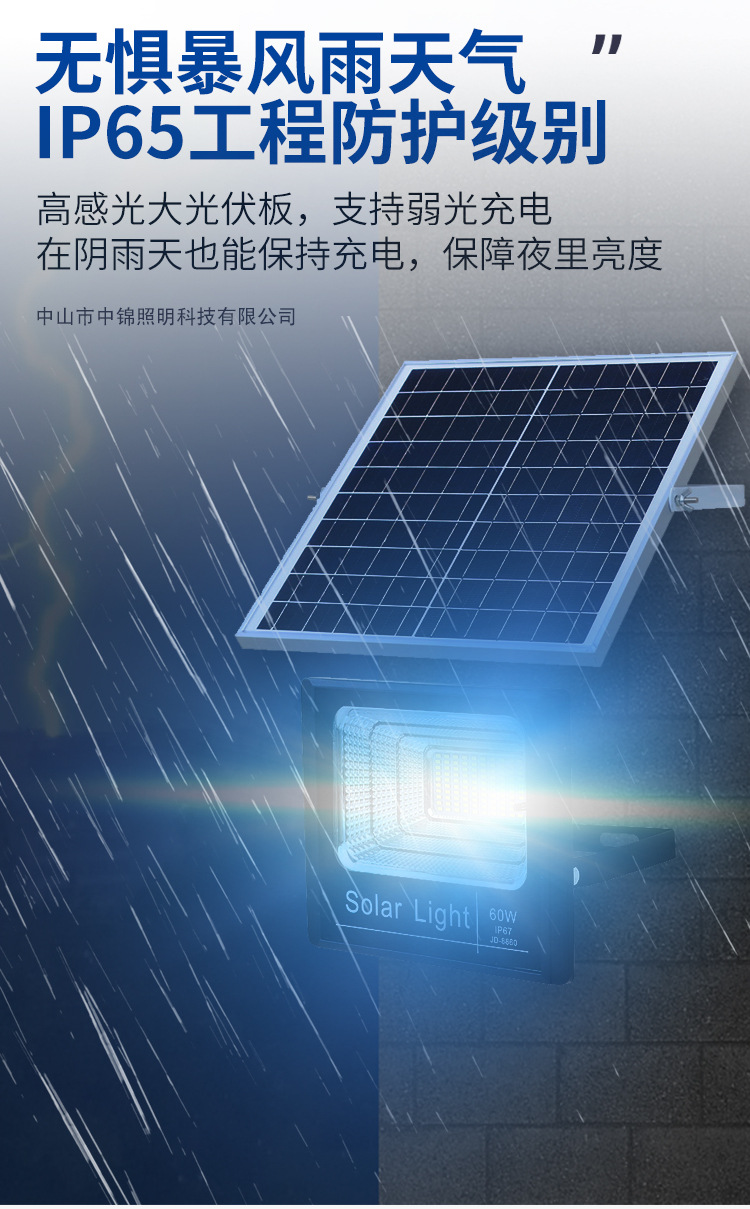 惠民新款太阳能灯户外照明庭院灯太阳能投光灯新农村路灯厂家直销详情18