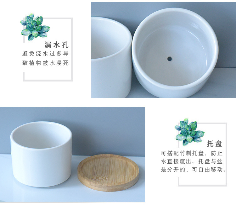 陶瓷花盆跨境白瓷多肉植物小花盆批发简约园艺多肉盆可印LOGO厂家详情7