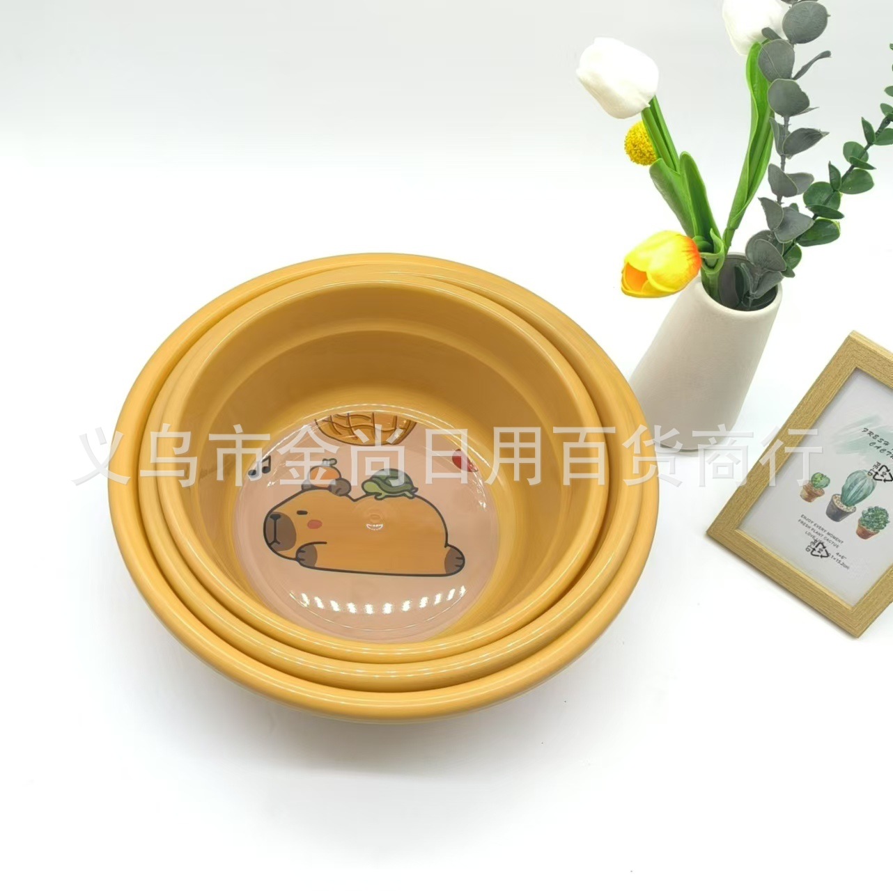 家用卡皮巴拉脸盆儿童洗脸专用盆家用洗漱卡通洗脸盆可爱卡通脸盆详情1