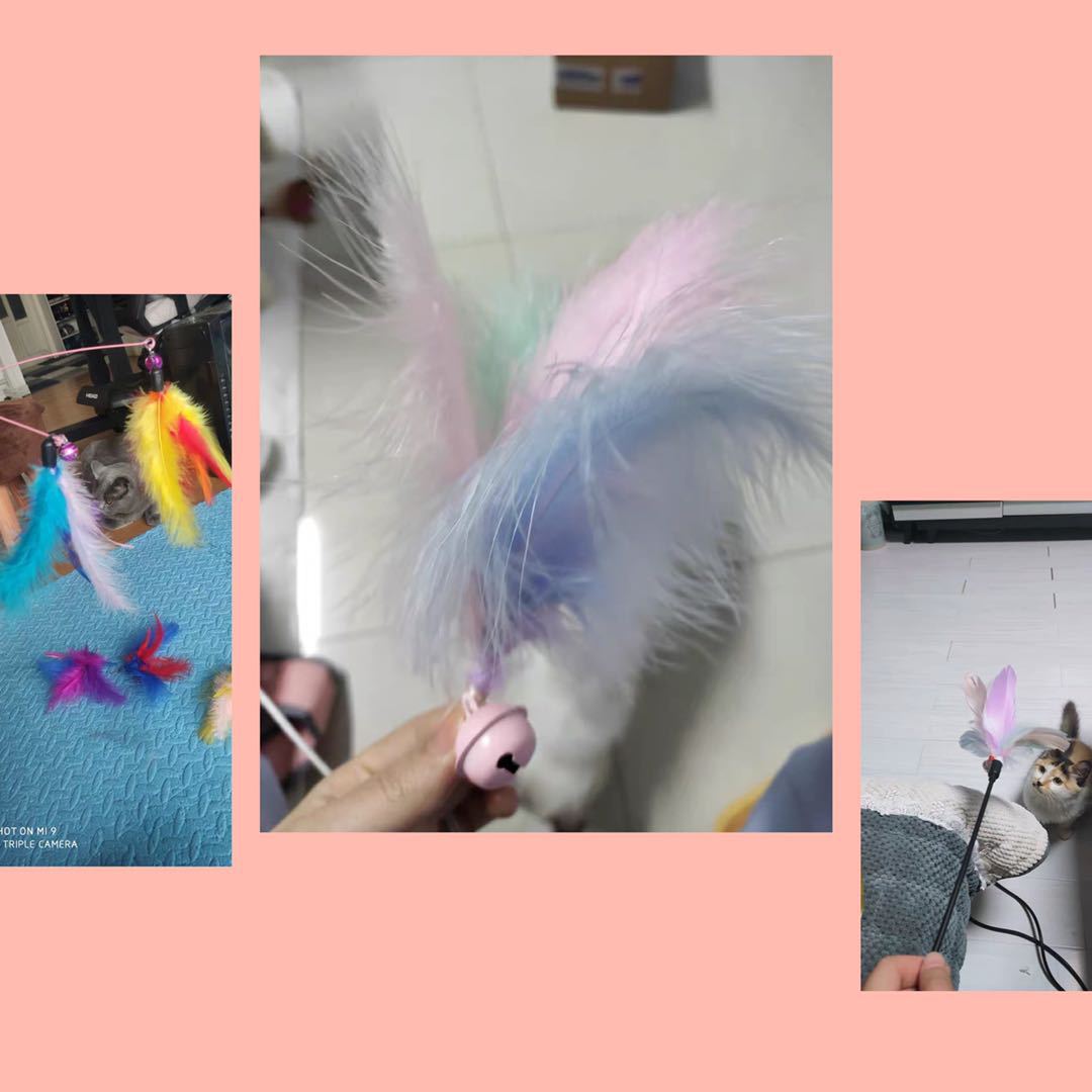 DIY cat teaser filled with fire chicken feather balls and pointed tail fleece, wedding and festival colorful feathers pic 24