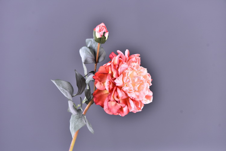 Factory direct sales of 2 simulated peonies, retro charred edge simulated peonies, soft decoration floral art for living rooms, lobbies and homestays pic 41