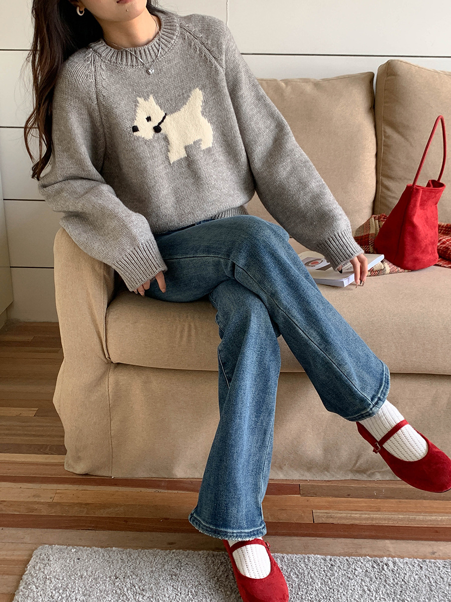 3th Morning North Island Park Korean Style Youthful Dog Embroidered Round Neck Pullover Sweater ZY2381 pic 45