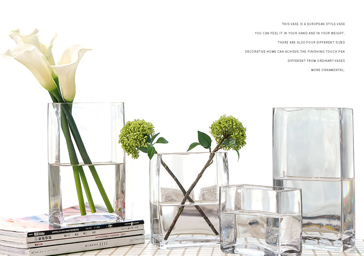 Square VAT glass vase, transparent hydroponic lucky bamboo lily, flat VAT square vase, floral art, living room flower arrangement ornaments pic 10