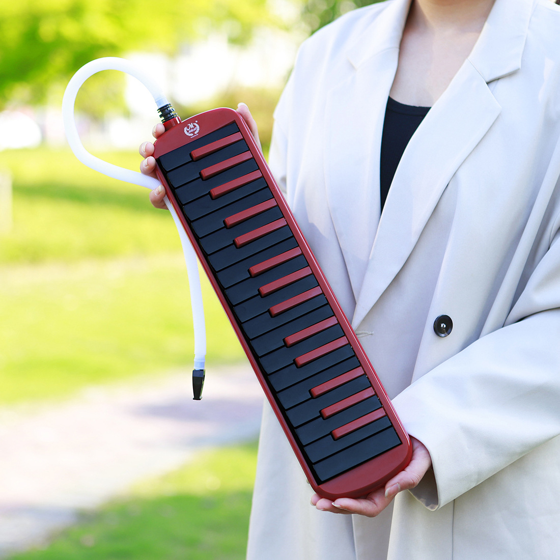 Wholesale of high-end 32-key performance harmonica in red and black EVA case for beginners and adults pic 9
