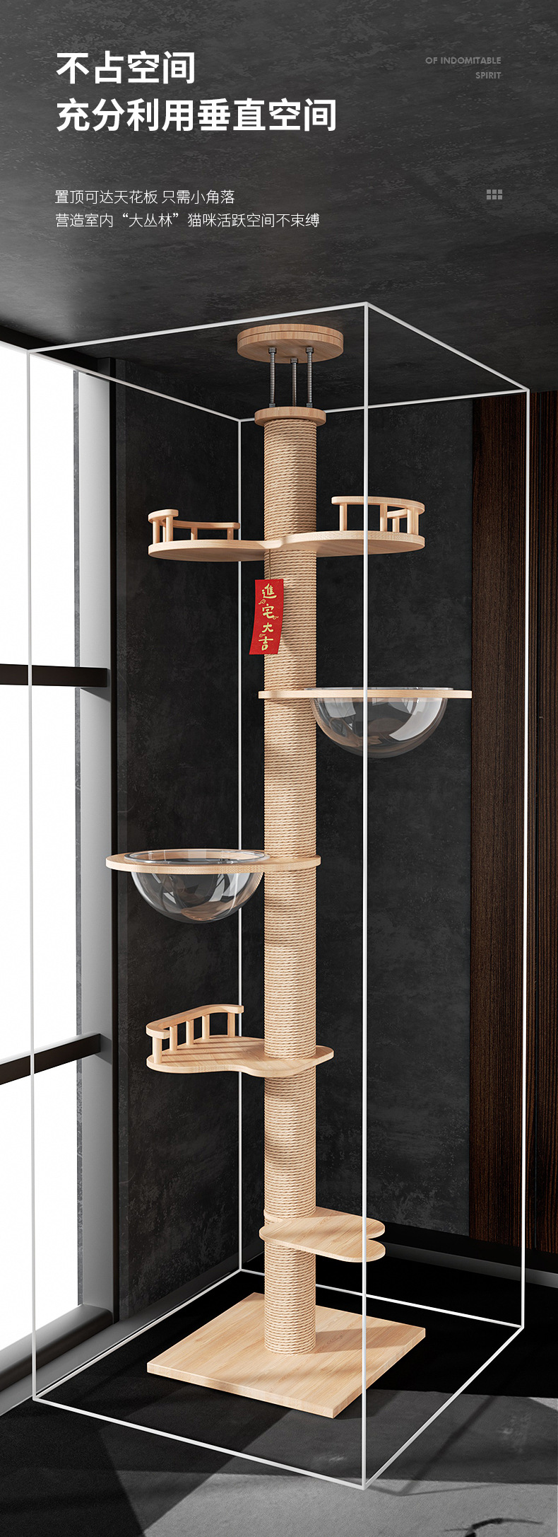 通天柱猫爬架子猫树猫窝一体通顶实木不占地顶天立地擎天柱猫架高详情6