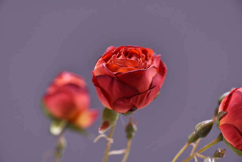 Simulated retro charred edge rose bud home, hotel, banquet table flower, high-end simulated rose, simulated dried flower pic 7