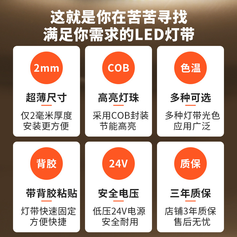 led灯带低压cob自粘室内双色智能展示柜软灯带幻彩户外线性灯防水详情4