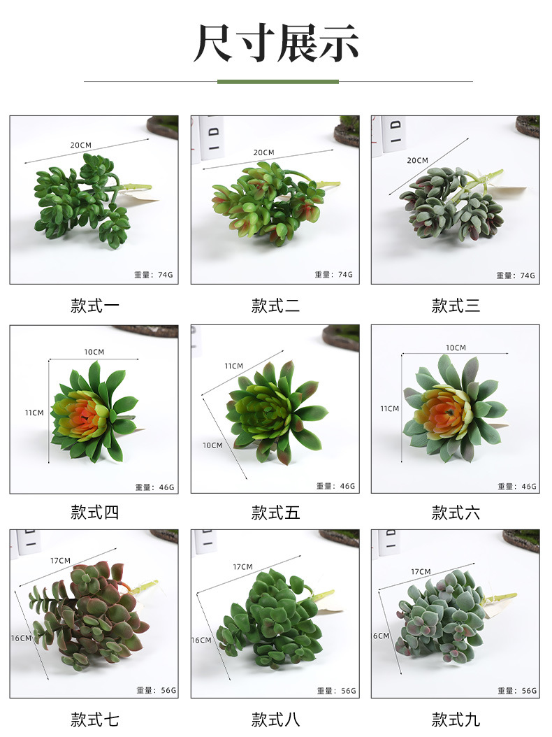 新款仿真塑料多肉 逼真手感插花多肉园艺装饰多肉绿植多头组合批发详情6